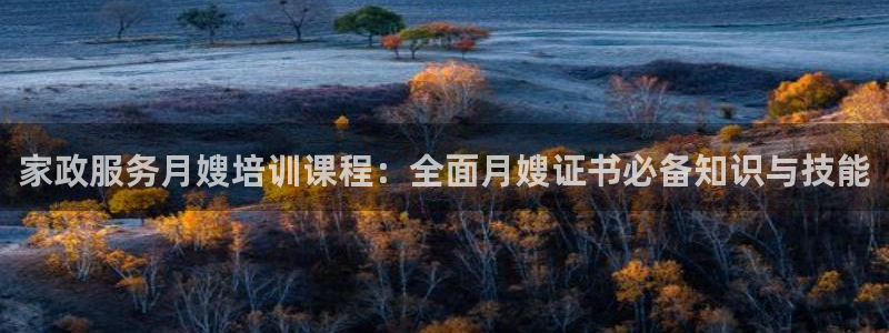 杏悦是什么平台