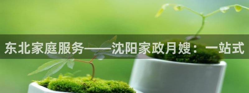 杏悦是什么平台