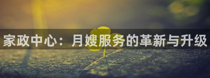 杏悦平台代理注册多少钱