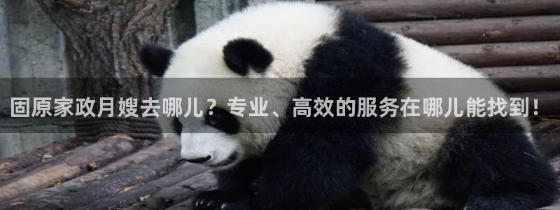 杏悦平台注册要钱吗