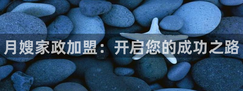 杏悦平台代理怎么赚钱