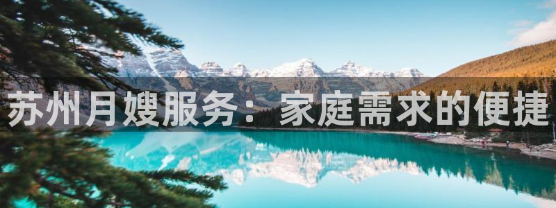 杏悦平台注册流程