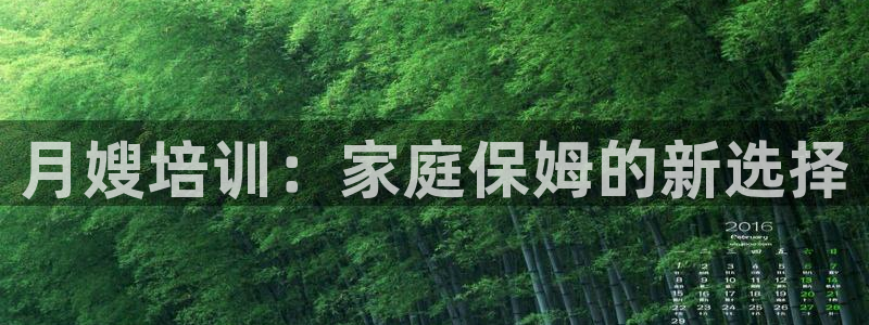 杏悦平台代理怎么样