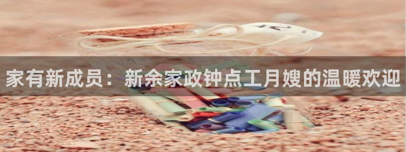 杏悦平台代理注册流程